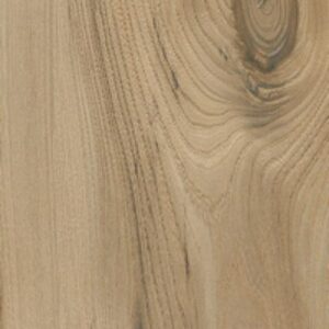 EGYPTIAN-BEIGE-scaled-300x300