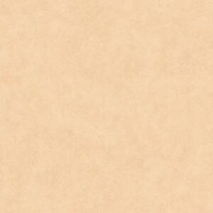LASTRA-BEIGE-300x300