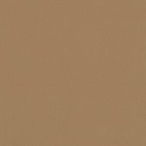 MASHROOM MIST-300x300